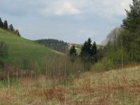 Domek Caoroczny w grach Nowy Scz- Pszczka