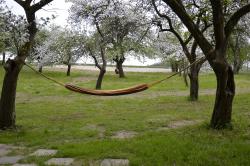 Figlarnia