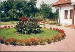 Janola