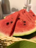 O�rodek Wypoczynkowy Przysta�