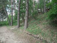 Domki Letniskowe nad Jeziorem Partczyny Wielkie-Mazury Zachodnie