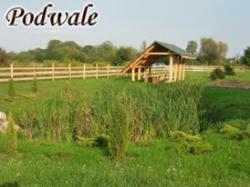 Podwale
