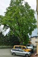 Wist Hostel