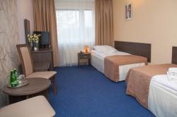 Hotel Ikar***