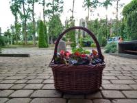 Trzy wiaty Spa & Wellness Rajska Wyspa