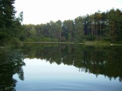 Domek nad jeziorem Skarszewy