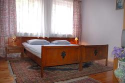 Hotel Irena*