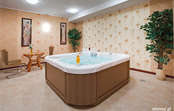 Hotel - Dworek Tryumf
