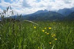Z widokiem na Giewont