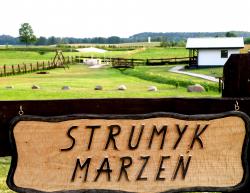 Domki letniskowe Strumyk Marze