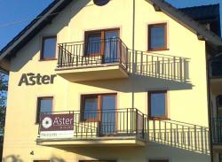 Aster Villa