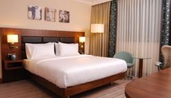 Hotel Hilton Garden