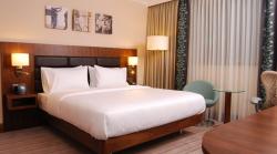Hotel Hilton Garden