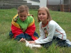 Zgromadzenie Braci Szk Chrzecijaskich