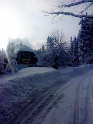 Wiking