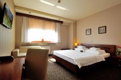 Hotel Diament Vacanza Siemianowice lskie ***