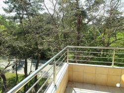 Hotel Floryda