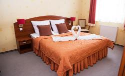 Hotel Borowianka
