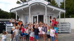 Collins Holiday