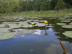 Agroturystyka U Edka