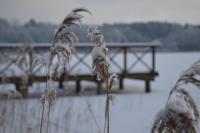 Domek w Sajenku