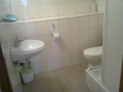 Gociniec Pod Gwiazdami