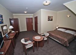 Hotel Wityng