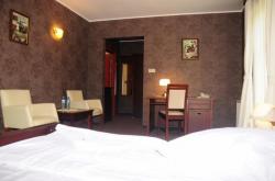 Hotel Wityng