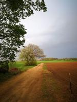 Agroturystyka -Stajnia Dorado-Puszcza Kampinoska