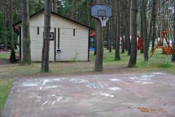 Domki Letniskowe Sosenkowo