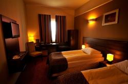 Hotel Tczowy Myn