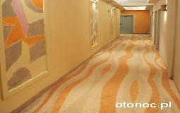Hotel Spjnia
