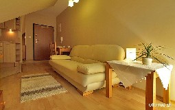 Zakopane Apartamenty Motyl