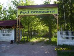 Pod Brzozami