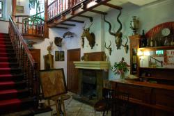 Hotel Daria 