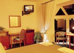 Hotel Preemier***