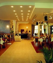 Hotel Preemier***