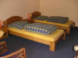 Motel Pod Dbem