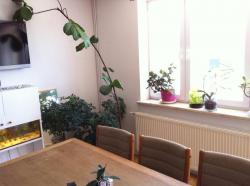 Excellent Rooms