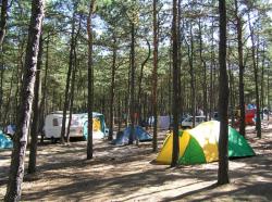 Camping Stogi nr 218