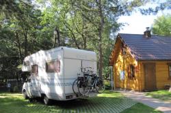 Camping Stogi nr 218