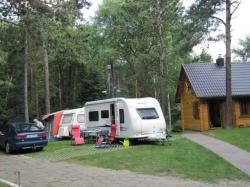 Camping Stogi nr 218