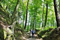 Kadyny Folwark Hotel & Spa