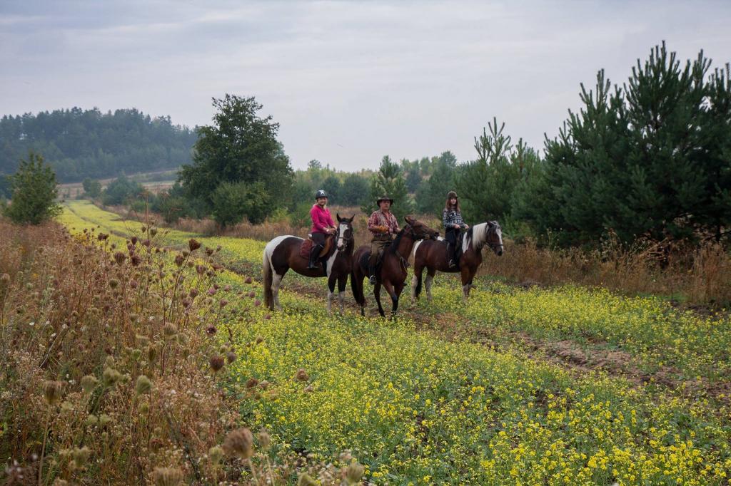 Gospodarstwo Agroturystyczne Marka