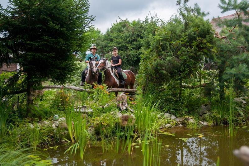 Gospodarstwo Agroturystyczne Marka