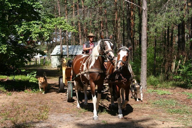 Gospodarstwo Agroturystyczne Marka