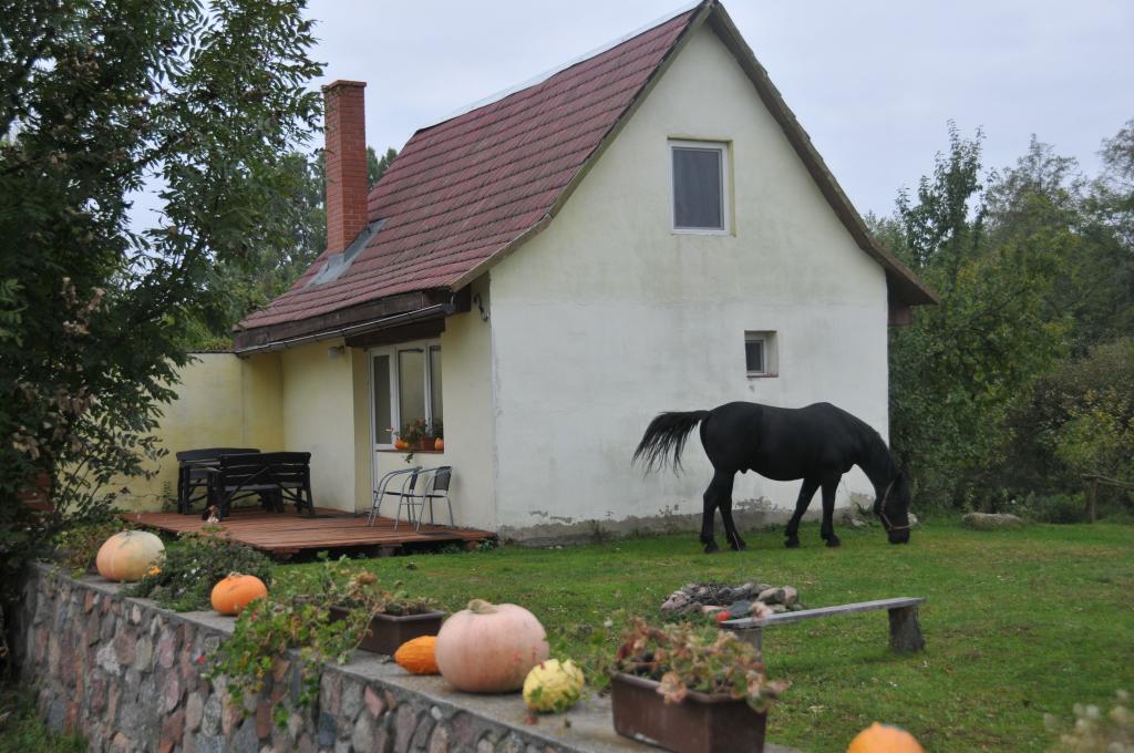 Gospodarstwo Agroturystyczne Maria i Maciej Czech