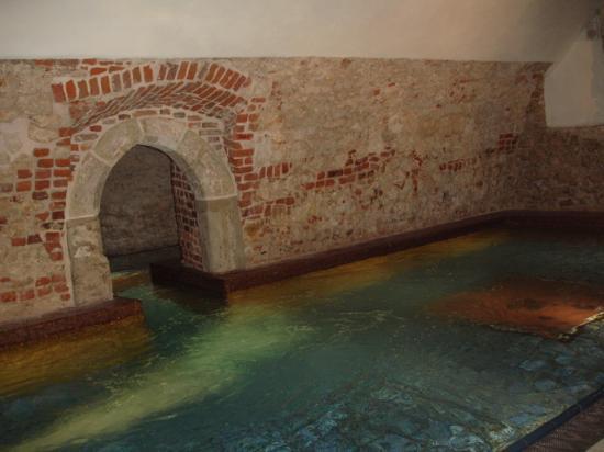 Hotel Stary
