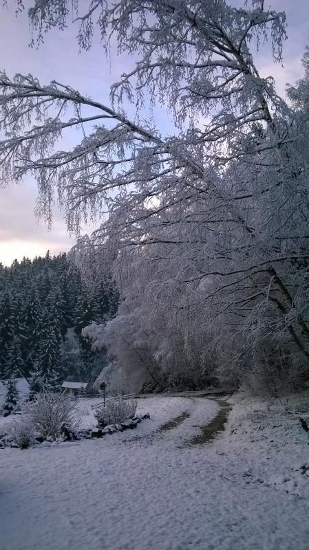 Dom Ksiycowa Dolina