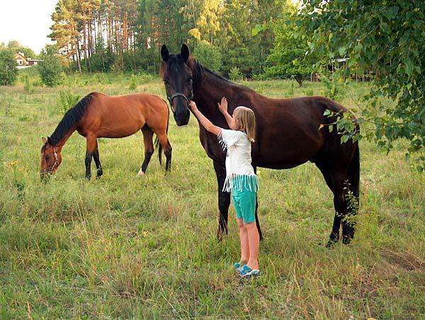 Agroturystyka Wyspa Dadaj